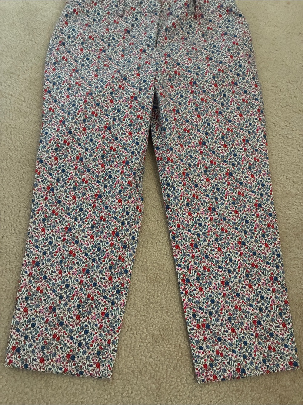 LOFT Floral Ankle Pants in White, Red & Blue